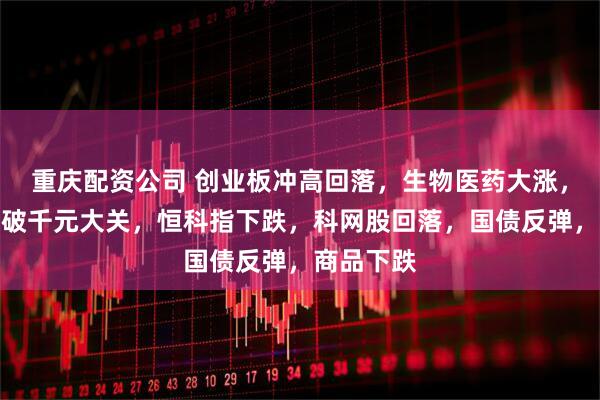 重庆配资公司 创业板冲高回落，生物医药大涨，寒武纪首破千元大关，恒科指下跌，科网股回落，国债反弹，商品下跌