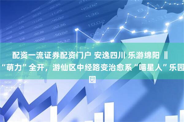 配资一流证券配资门户 安逸四川 乐游绵阳 ‖ “萌力”全开，游仙区中经路变治愈系“喵星人”乐园