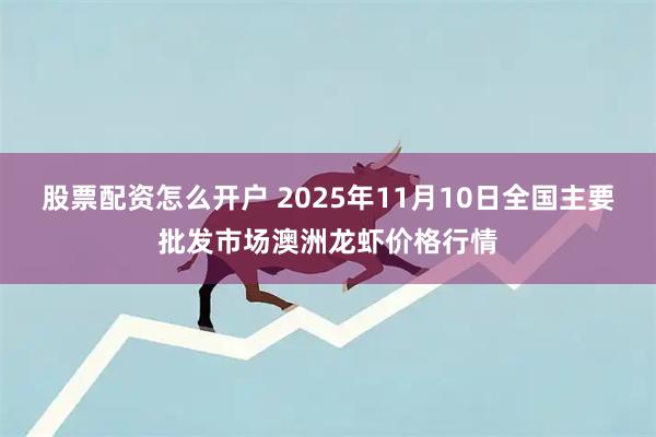 股票配资怎么开户 2025年11月10日全国主要批发市场澳洲龙虾价格行情